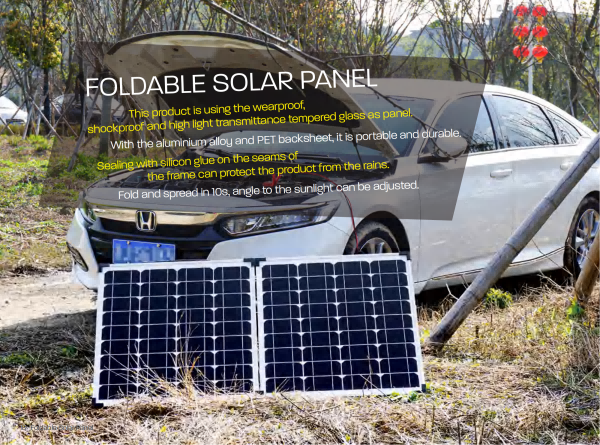 Portable Solar Panel CSSP100W